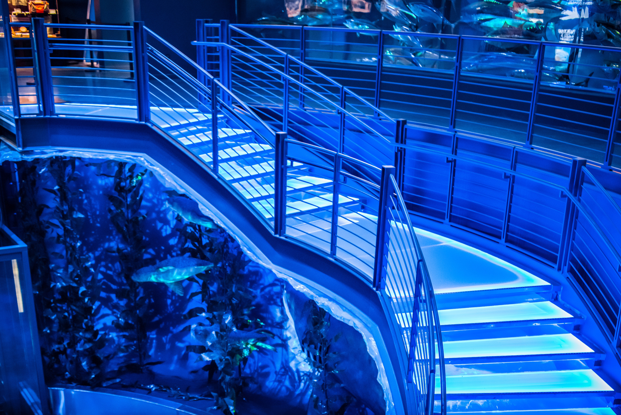 Bass Pro Shops HQ Glass Flooring and Glass Stairs in Front of Boat from Entry