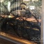 bacara tree imagenglass jockimo close